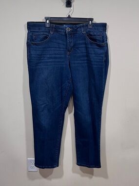 Democracy brand "Ab"solution jeans plus size 20W blue denim EUC stretchy